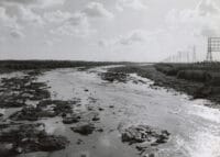 long beach river in a field water changes everything