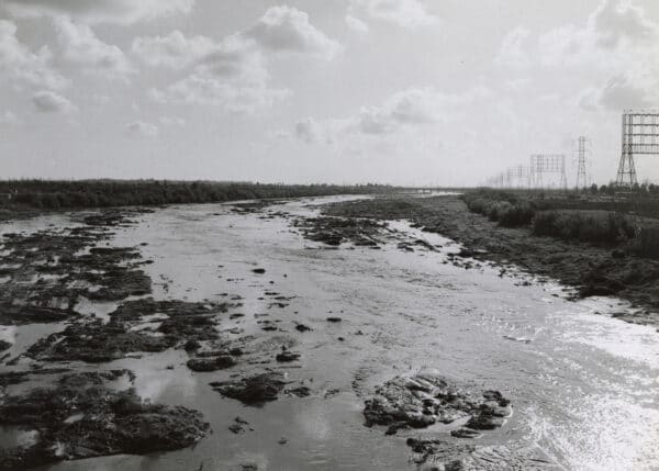 long beach river in a field water changes everything