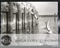 long beach diving into the water