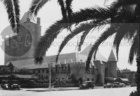 Long beach palm trees and large buildings